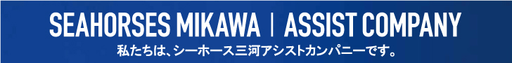 植村建設工業｜愛知県　安城市｜土木工事・下水工事・道路工事・河川工事